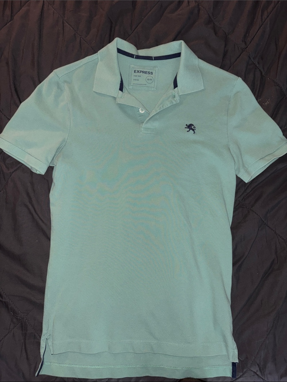 Express Men’s Light Mint Polo with Navy Logo